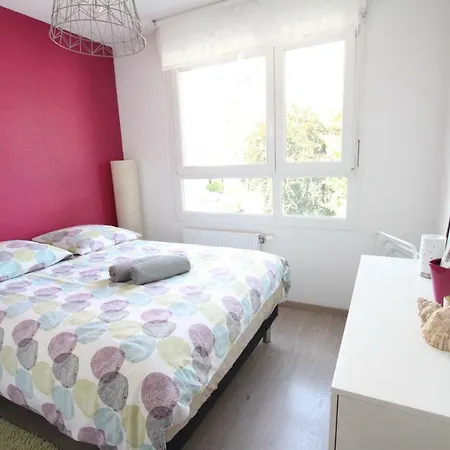 City Center - Galtz Terrasse And Free Parking - Bookingalsace Apartment Colmar