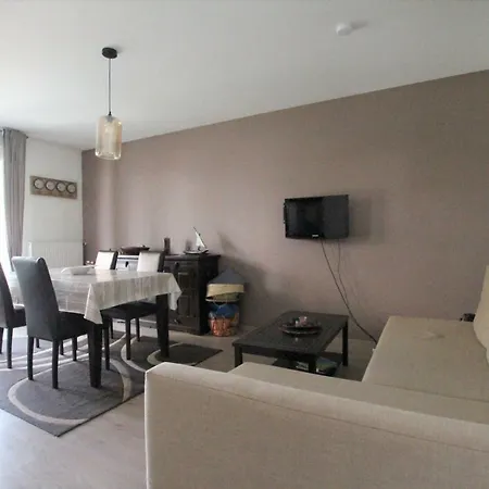 City Center - Galtz Terrasse And Free Parking - Bookingalsace Apartment Colmar