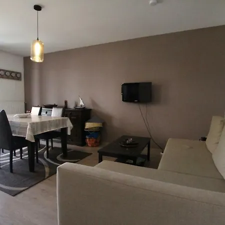 Apartment City Center - Galtz Terrasse And Free Parking - Bookingalsace